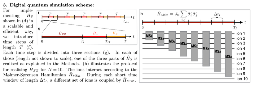 Martinez lattice gauge theory