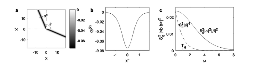 Steinhauer 2016 Hawking correlations